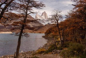 Koko päivä El Chalténissa ja retkeily Laguna de los Tresiin