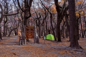 Full day in El Chaltén with trekking to Laguna de los Tres