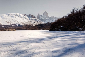 Giornata intera a El Chaltén con trekking alla Laguna de los Tres