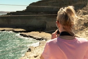 Puerto Madryn: Kokopäiväretki Peninsula Valdesin kokemukseen