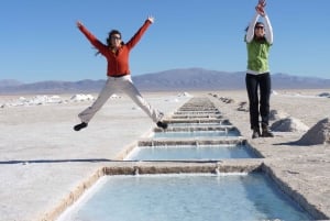 Heldag i Salinas Grandes + Tren Solar (Maimara/Purmamarca)