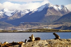 Excursão de 1 dia para o verão em Ushuaia