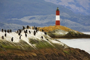 Visite d'une jounée à Ushuaia