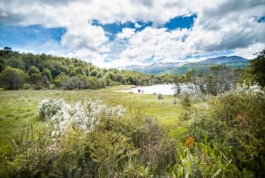 Journée complète dans le parc national de la Terre de Feu avec le train