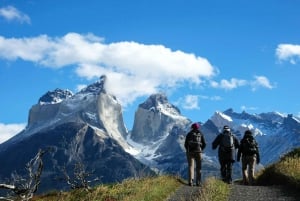 Heldag Torres del Paine nationalpark från El Calafate