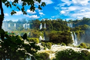 Puerto Iguazú: Tour por las cataratas del Iguazú con paseo en barco y camión safari