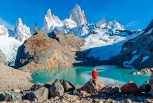 Full-Day Tour to Torres del Paine National Park