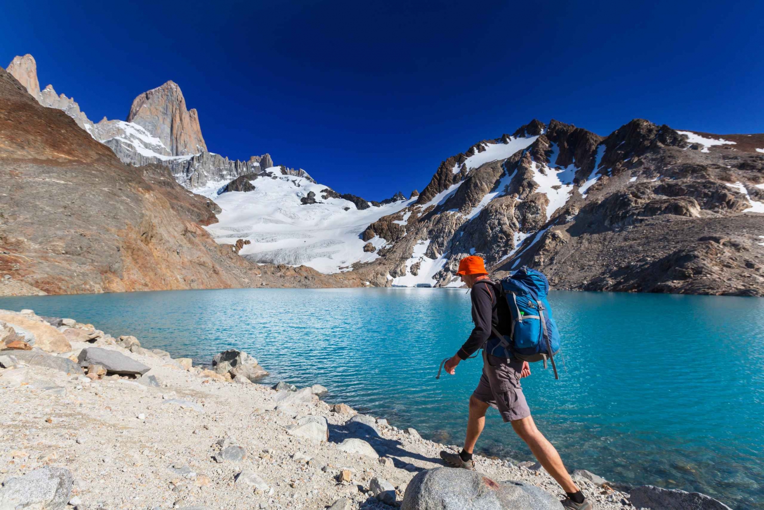 Excursión de un día a la Laguna Torre: Explora los Glaciares y la Fauna