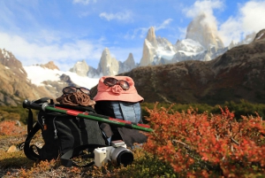 Heldagsvandring till Laguna Torre: Utforska glaciärer och vilda djur