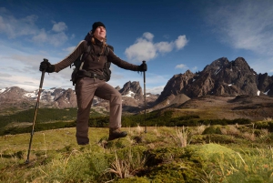 Trekking di un giorno intero a Laguna Torre: Esplora i ghiacciai e la fauna selvatica