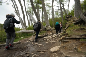 Ushuaia: Heldags 4x4 offroad-tur med huskys, fyrhjuling, bäverdamm och lunch