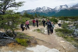 Ushuaia: Heldags 4x4 offroad-tur med huskys, fyrhjuling, bäverdamm och lunch