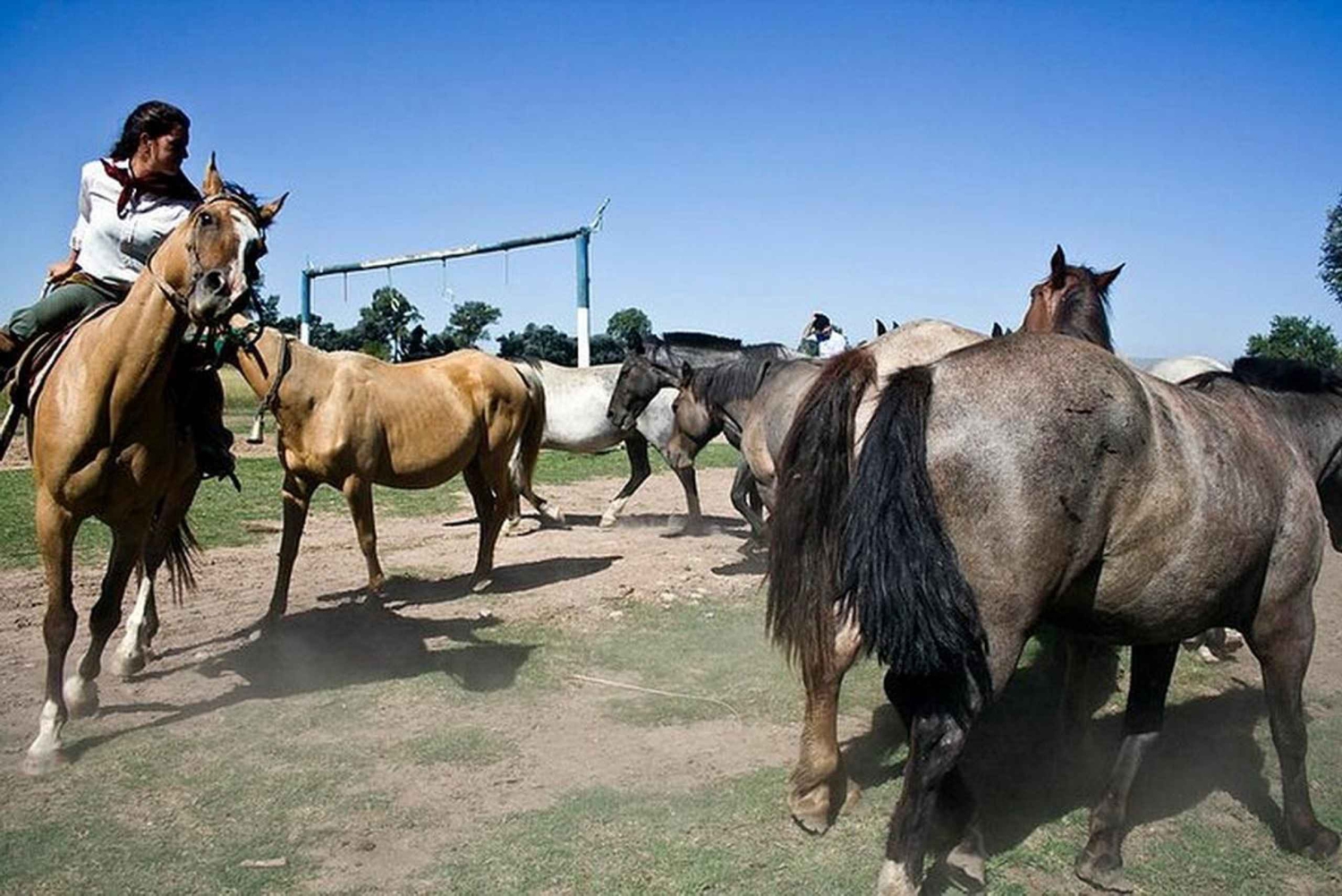 Gaucho-dagtocht Don Silvano Estancia vanuit Buenos Aires