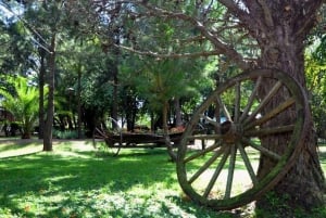 Gaucho Day Tour Don Silvano Estancia From Buenos Aires