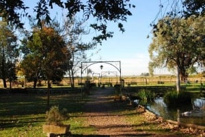 Gaucho Day Tour Don Silvano Estancia From Buenos Aires