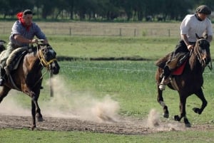 Gaucho Day Tour Don Silvano Estancia From Buenos Aires
