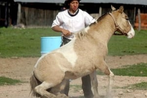 Gaucho Day Tour Don Silvano Estancia From Buenos Aires