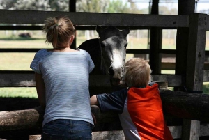 Gaucho-dagtocht Don Silvano Estancia vanuit Buenos Aires