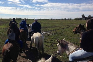Gaucho-dagtocht Don Silvano Estancia vanuit Buenos Aires