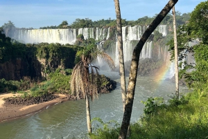 Opas ja kuljetus Iguaçun putouksilla