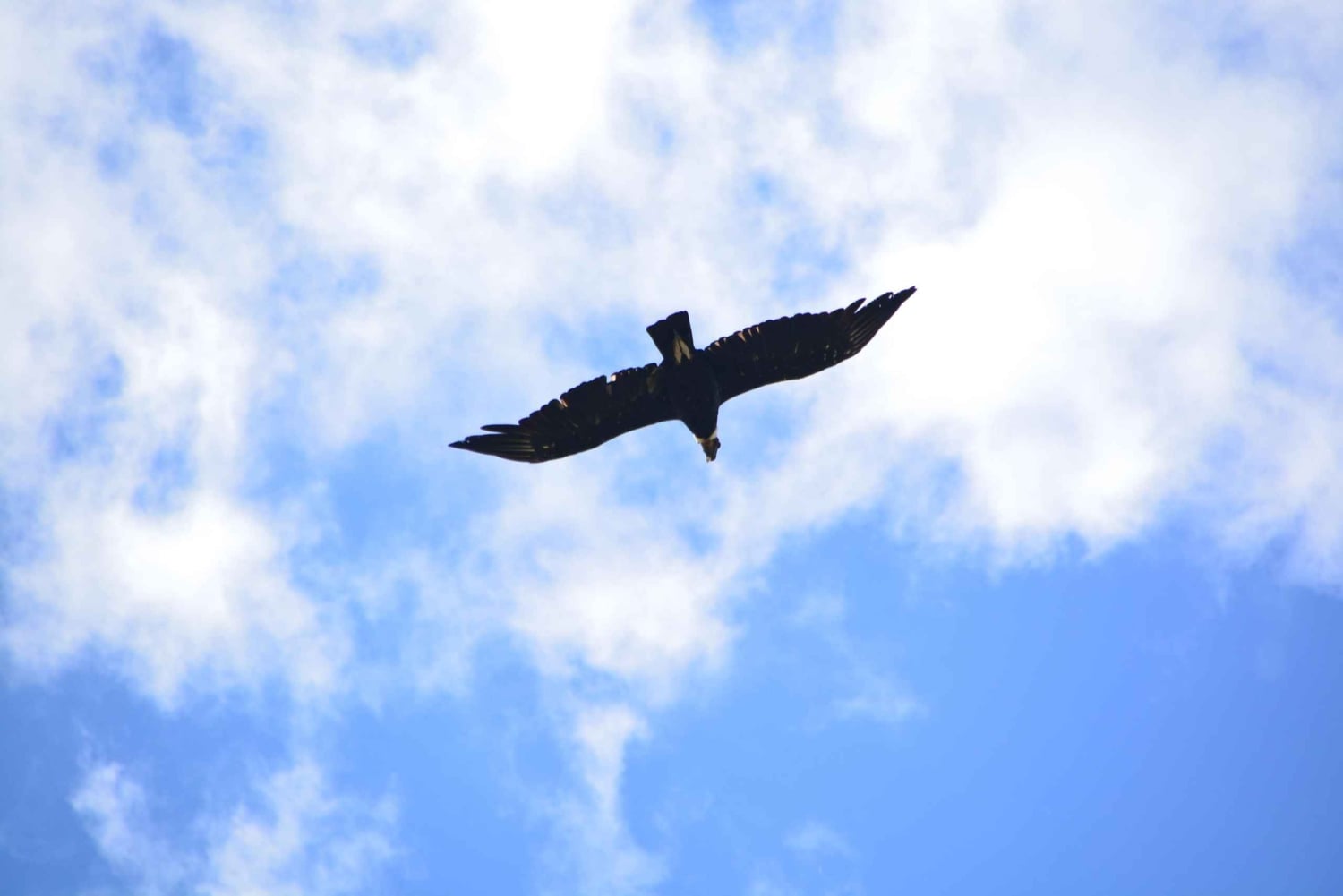 Opastettu vaellus Cordobassa, Argentiinassa – luontoa ja vesiputouksia