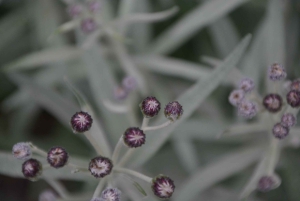 Begeleide wandeltocht in Cordoba, Argentinië - Natuur en watervallen