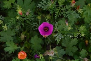 Opastettu vaellus Cordobassa, Argentiinassa – luontoa ja vesiputouksia