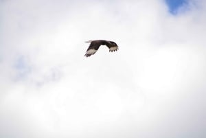 Opastettu vaellus Cordobassa, Argentiinassa – luontoa ja vesiputouksia