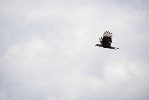 Opastettu vaellus Cordobassa, Argentiinassa – luontoa ja vesiputouksia