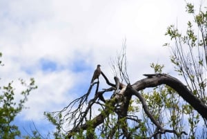 Opastettu vaellus Cordobassa, Argentiinassa – luontoa ja vesiputouksia