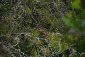 Opastettu vaellus Cordobassa, Argentiinassa – luontoa ja vesiputouksia
