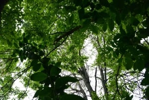 Opastettu vaellus Cordobassa, Argentiinassa – luontoa ja vesiputouksia