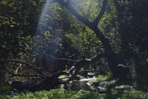Opastettu vaellus Cordobassa, Argentiinassa – luontoa ja vesiputouksia