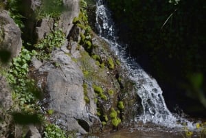 Opastettu vaellus Cordobassa, Argentiinassa – luontoa ja vesiputouksia