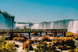 Guidet tur: Brasilianske vandfald og eksotiske fugle i Bird Park