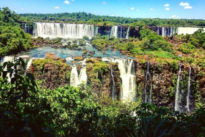 Guidet tur: Brasilianske vandfald og eksotiske fugle i Bird Park