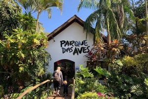 Guidet tur: Brasilianske vandfald og eksotiske fugle i Bird Park