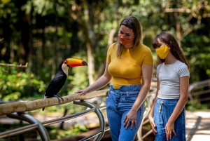 Guidet tur: Brasilianske vandfald og eksotiske fugle i Bird Park