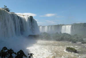 Guidet tur: Brasilianske vandfald og eksotiske fugle i Bird Park