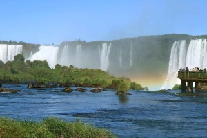 Guidet tur: Brasilianske vandfald og eksotiske fugle i Bird Park