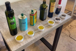 Tour de medio día de Bodegas y Aceite de Oliva desde Mendoza