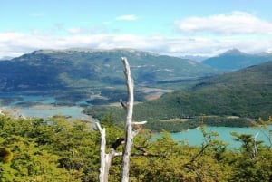 Ushuaia: Tierra del Fuegon puisto: Maailmanlopun junamatka & Tierra del Fuego Park