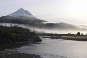 Ushuaia: Passeio de Trem do Fim do Mundo e Parque Tierra del Fuego