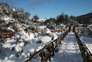 Ushuaia: Treinrit naar het einde van de wereld & Tierra del Fuego Park