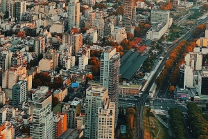 Helicopter flights in Buenos Aires