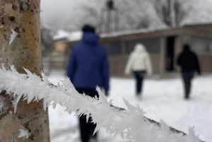 Senderismo y Asado Argentino en La Precordillera de Los Andes.