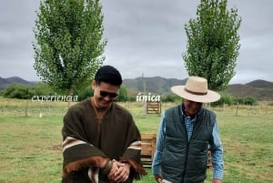 Passeios a cavalo e churrasco nas montanhas. Estadia Privada. La Carrera, Vale de Uco