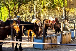 Reiten bei Sonnenuntergang und Abendessen in Mendoza