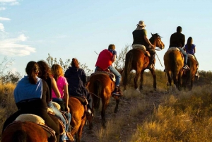 Paardrijden bij zonsondergang en diner in Mendoza