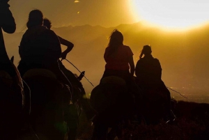 Reiten bei Sonnenuntergang und Abendessen in Mendoza